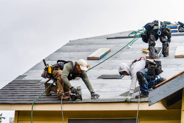Professional Gutter Installation technician working in Pembroke, GA